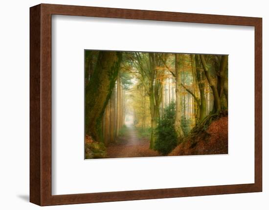 Following Fog-Ellen Borggreve-Framed Photographic Print