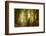 Following Fog-Ellen Borggreve-Framed Photographic Print