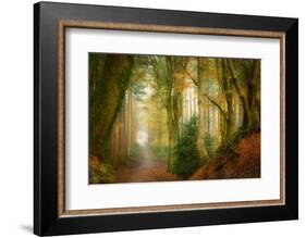 Following Fog-Ellen Borggreve-Framed Photographic Print