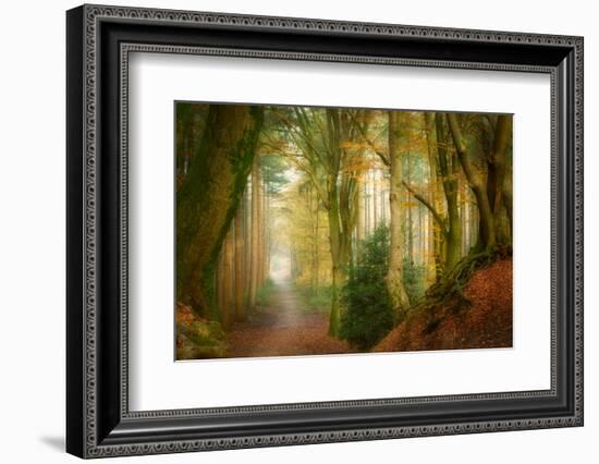 Following Fog-Ellen Borggreve-Framed Photographic Print