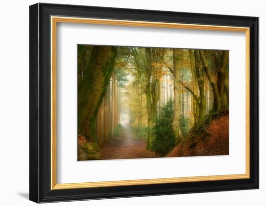 Following Fog-Ellen Borggreve-Framed Photographic Print