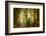 Following Fog-Ellen Borggreve-Framed Photographic Print