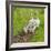 Following Mum and Dad-Adrian Campfield-Framed Photographic Print