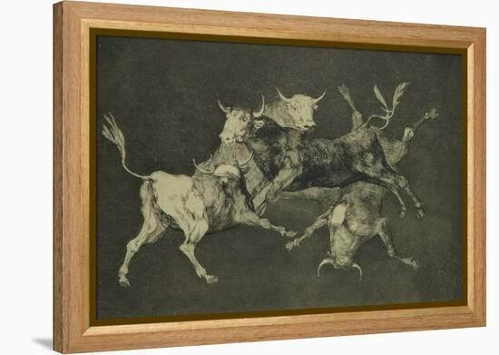 Folly of the Bulls, from the Follies Series, circa 1815-24-Francisco de Goya-Framed Premier Image Canvas