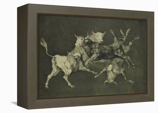 Folly of the Bulls, from the Follies Series, circa 1815-24-Francisco de Goya-Framed Premier Image Canvas