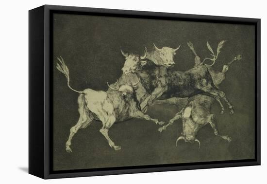 Folly of the Bulls, from the Follies Series, circa 1815-24-Francisco de Goya-Framed Premier Image Canvas