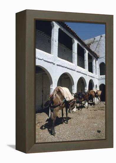 Fondouk, Chefchaouen, Morocco-Vivienne Sharp-Framed Premier Image Canvas