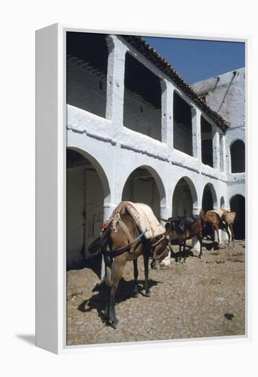 Fondouk, Chefchaouen, Morocco-Vivienne Sharp-Framed Premier Image Canvas