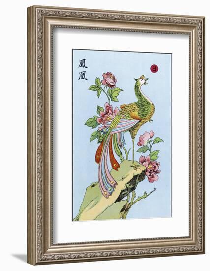 Fong Hoang, The Chinese Phoenix-null-Framed Photographic Print