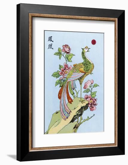 Fong Hoang, The Chinese Phoenix-null-Framed Photographic Print