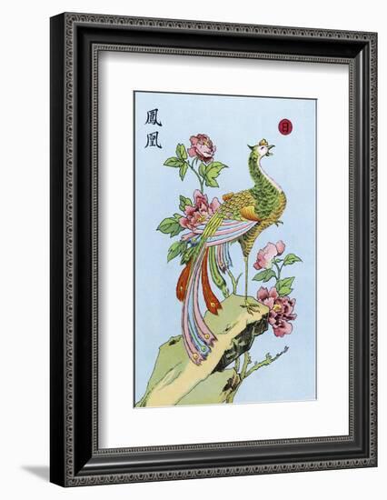 Fong Hoang, The Chinese Phoenix-null-Framed Photographic Print
