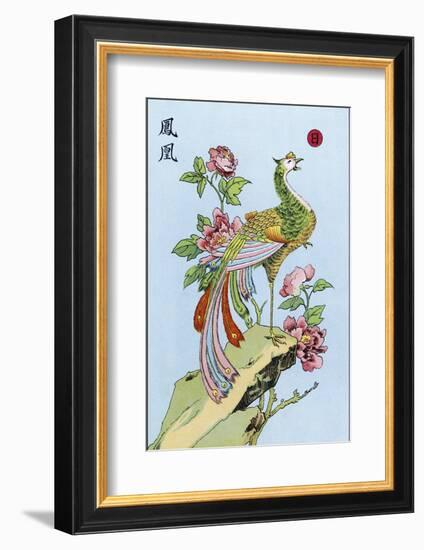 Fong Hoang, The Chinese Phoenix-null-Framed Photographic Print