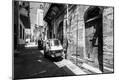 Photographic Print