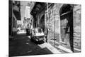Photographic Print