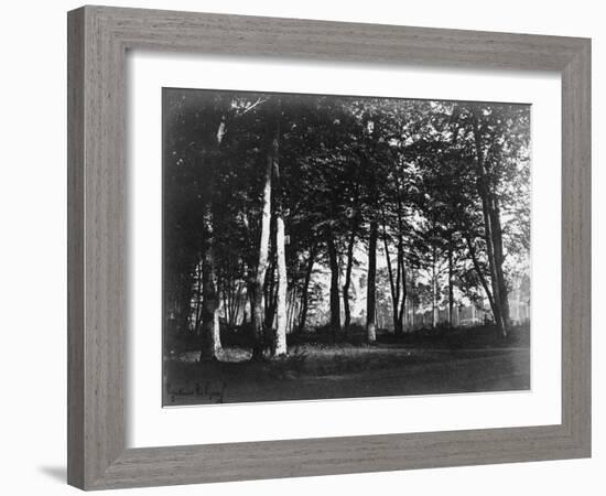 Fontainebleau, 1849 - Study of Trees and Pathways-Gustave Le Gray-Framed Art Print