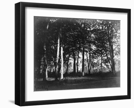 Fontainebleau, 1849 - Study of Trees and Pathways-Gustave Le Gray-Framed Art Print
