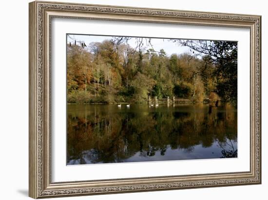 Fonthill Estate Lake, Wiltshire, 2005-Peter Thompson-Framed Photographic Print