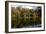 Fonthill Estate Lake, Wiltshire, 2005-Peter Thompson-Framed Photographic Print