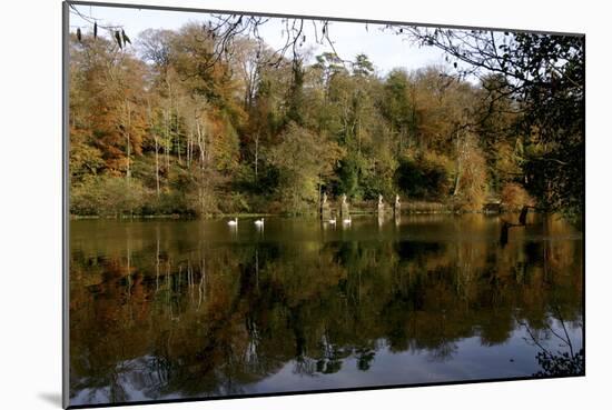 Fonthill Estate Lake, Wiltshire, 2005-Peter Thompson-Mounted Photographic Print