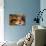 Food and Drink, Gothenburg, Sweden, Scandinavia, Europe-Frank Fell-Photographic Print displayed on a wall