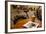 Food and Drink, Gothenburg, Sweden, Scandinavia, Europe-Frank Fell-Framed Photographic Print