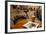 Food and Drink, Gothenburg, Sweden, Scandinavia, Europe-Frank Fell-Framed Photographic Print