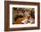 Food and Drink, Gothenburg, Sweden, Scandinavia, Europe-Frank Fell-Framed Photographic Print