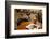 Food and Drink, Gothenburg, Sweden, Scandinavia, Europe-Frank Fell-Framed Photographic Print