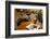 Food and Drink, Gothenburg, Sweden, Scandinavia, Europe-Frank Fell-Framed Photographic Print