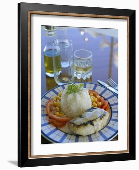 Food and Drink on Board a Catamaran, Praslin, Seychelles, Indian Ocean, Africa-Bruno Barbier-Framed Photographic Print