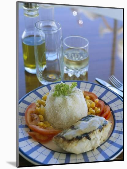 Food and Drink on Board a Catamaran, Praslin, Seychelles, Indian Ocean, Africa-Bruno Barbier-Mounted Photographic Print