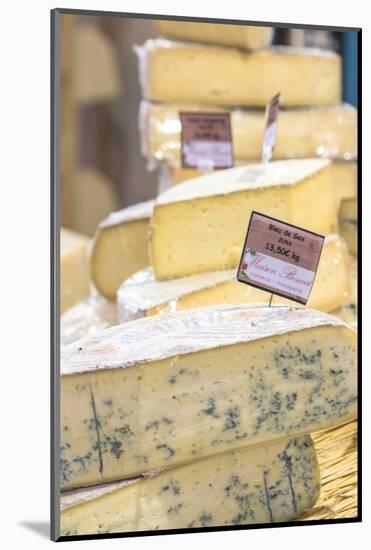 Food cheese, food market, Dijon, Burgundy, France-Jim Engelbrecht-Mounted Photographic Print