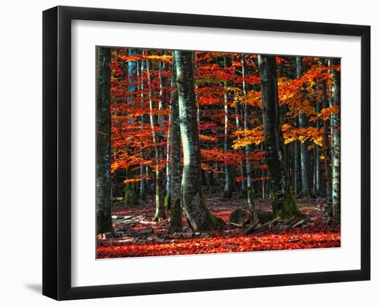 Food for Soul-Philippe Sainte-Laudy-Framed Photographic Print