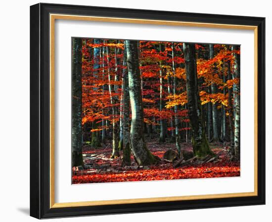 Food for Soul-Philippe Sainte-Laudy-Framed Photographic Print