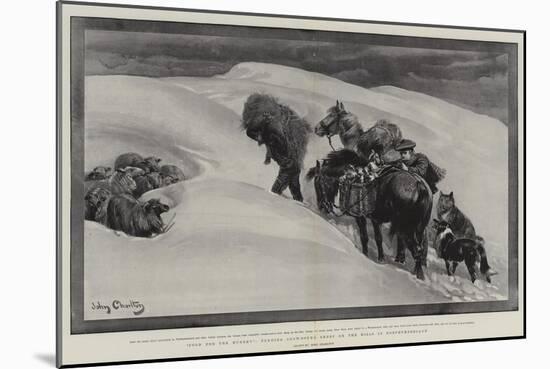 Food for the Hungry, Tending Snow-Bound Sheep on the Hills in Northumberland-John Charlton-Mounted Giclee Print