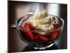 Food Healthy Yogurt Cheese, Concord, New Hampshire-Larry Crowe-Mounted Photographic Print