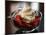 Food Healthy Yogurt Cheese, Concord, New Hampshire-Larry Crowe-Mounted Photographic Print