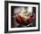 Food Healthy Yogurt Cheese, Concord, New Hampshire-Larry Crowe-Framed Photographic Print
