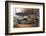 Food in bamboo steamer, Pengzhen, Chengdu, Sichuan Province, China-Keren Su-Framed Photographic Print