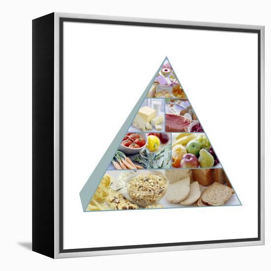 Food Pyramid-David Munns-Framed Premier Image Canvas