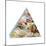 Food Pyramid-David Munns-Mounted Premium Photographic Print