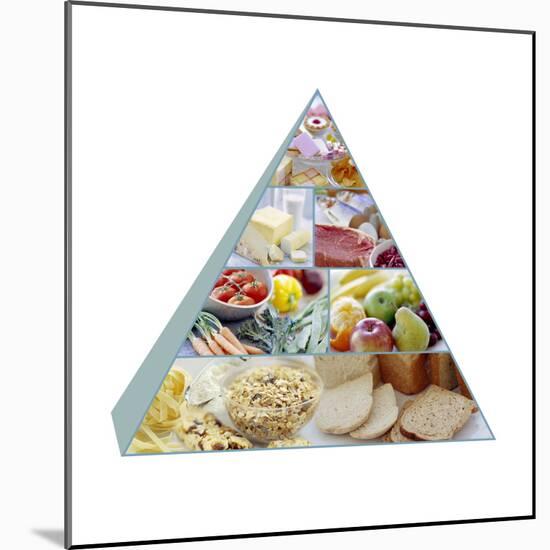 Food Pyramid-David Munns-Mounted Premium Photographic Print