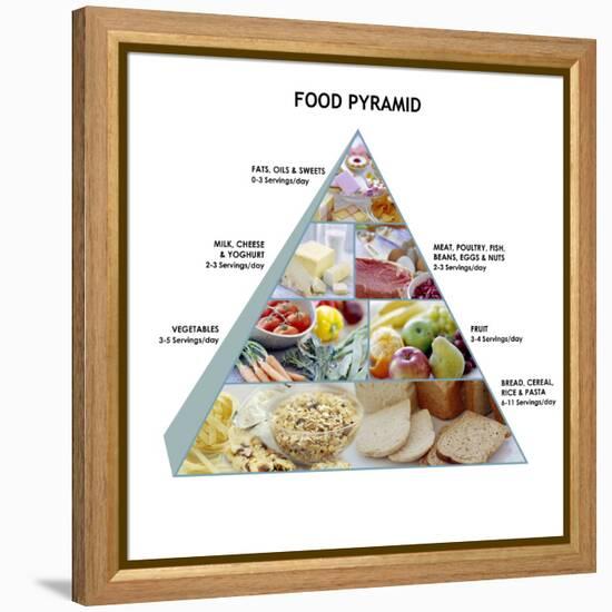 Food Pyramid-David Munns-Framed Premier Image Canvas