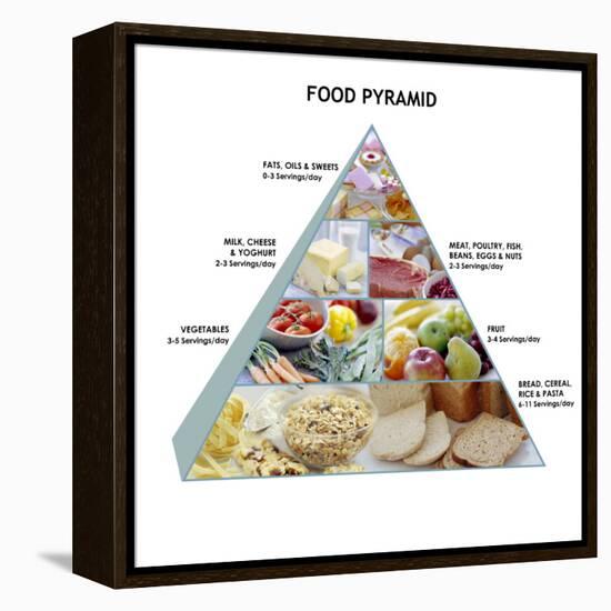 Food Pyramid-David Munns-Framed Premier Image Canvas