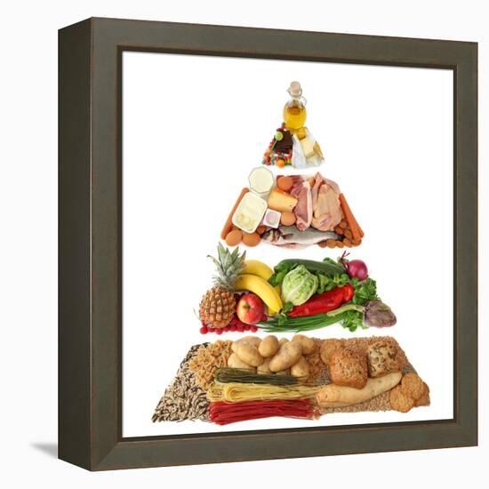 Food Pyramid-egal-Framed Stretched Canvas