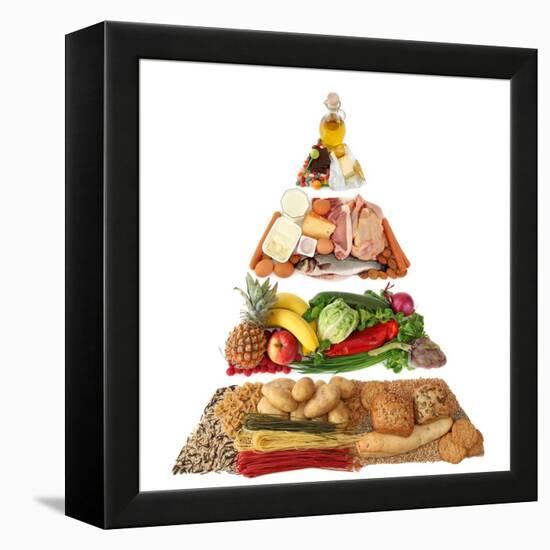 Food Pyramid-egal-Framed Stretched Canvas