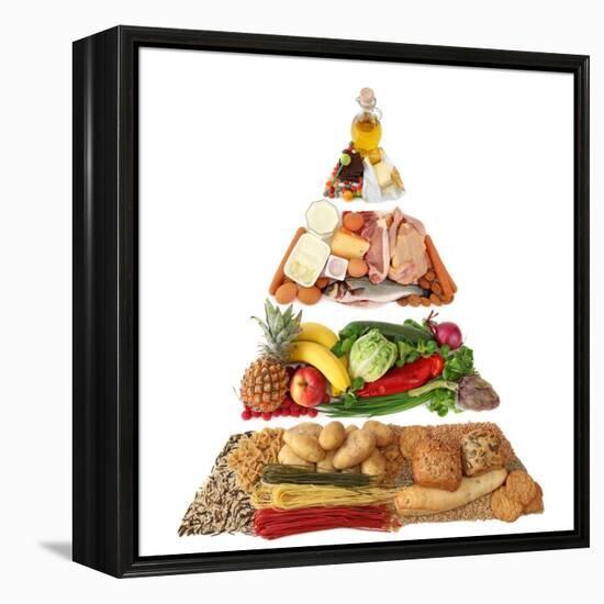 Food Pyramid-egal-Framed Stretched Canvas