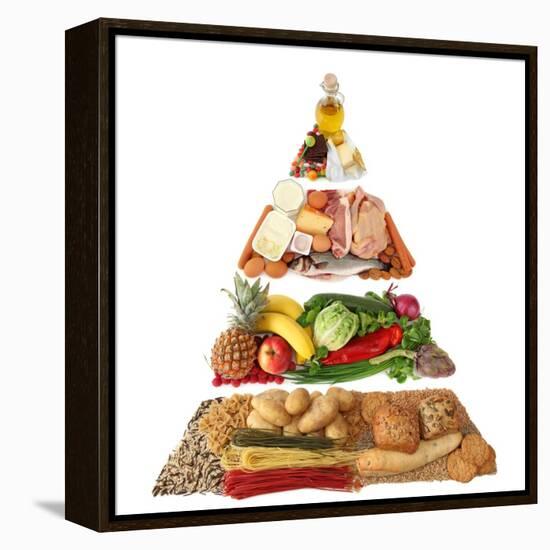 Food Pyramid-egal-Framed Stretched Canvas