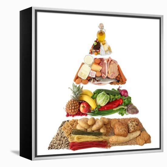 Food Pyramid-egal-Framed Stretched Canvas