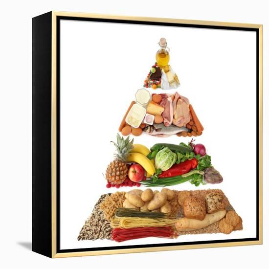 Food Pyramid-egal-Framed Stretched Canvas